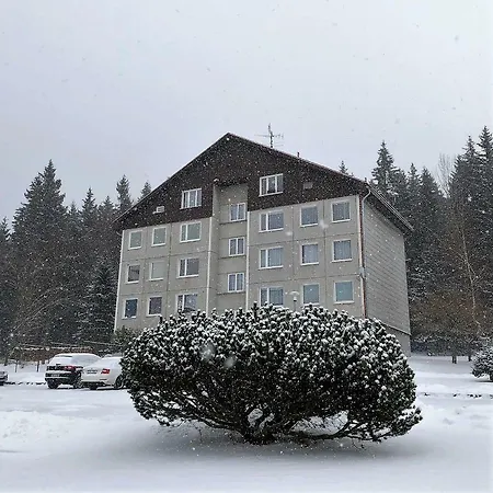 Apartman U Lesa, Srni 119 Exterior photo