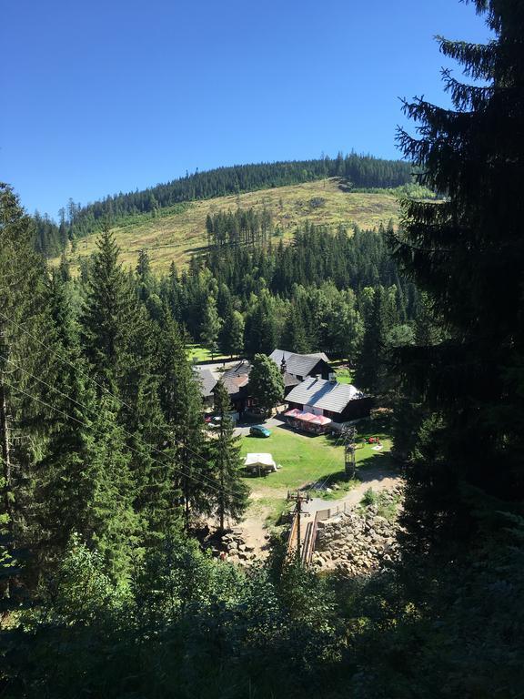 Apartment U Lesa, 119 *