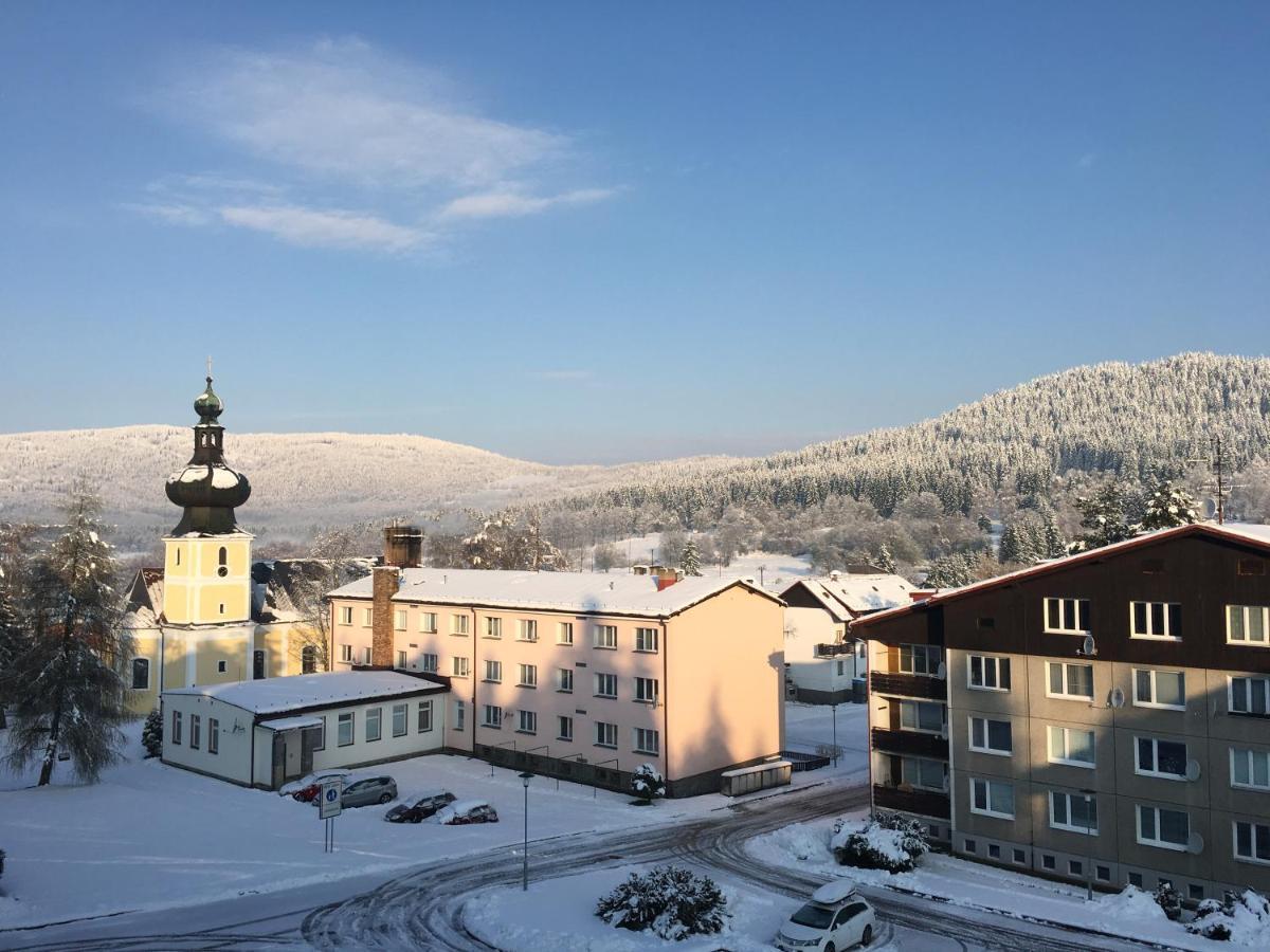 Apartment U Lesa, 119 *